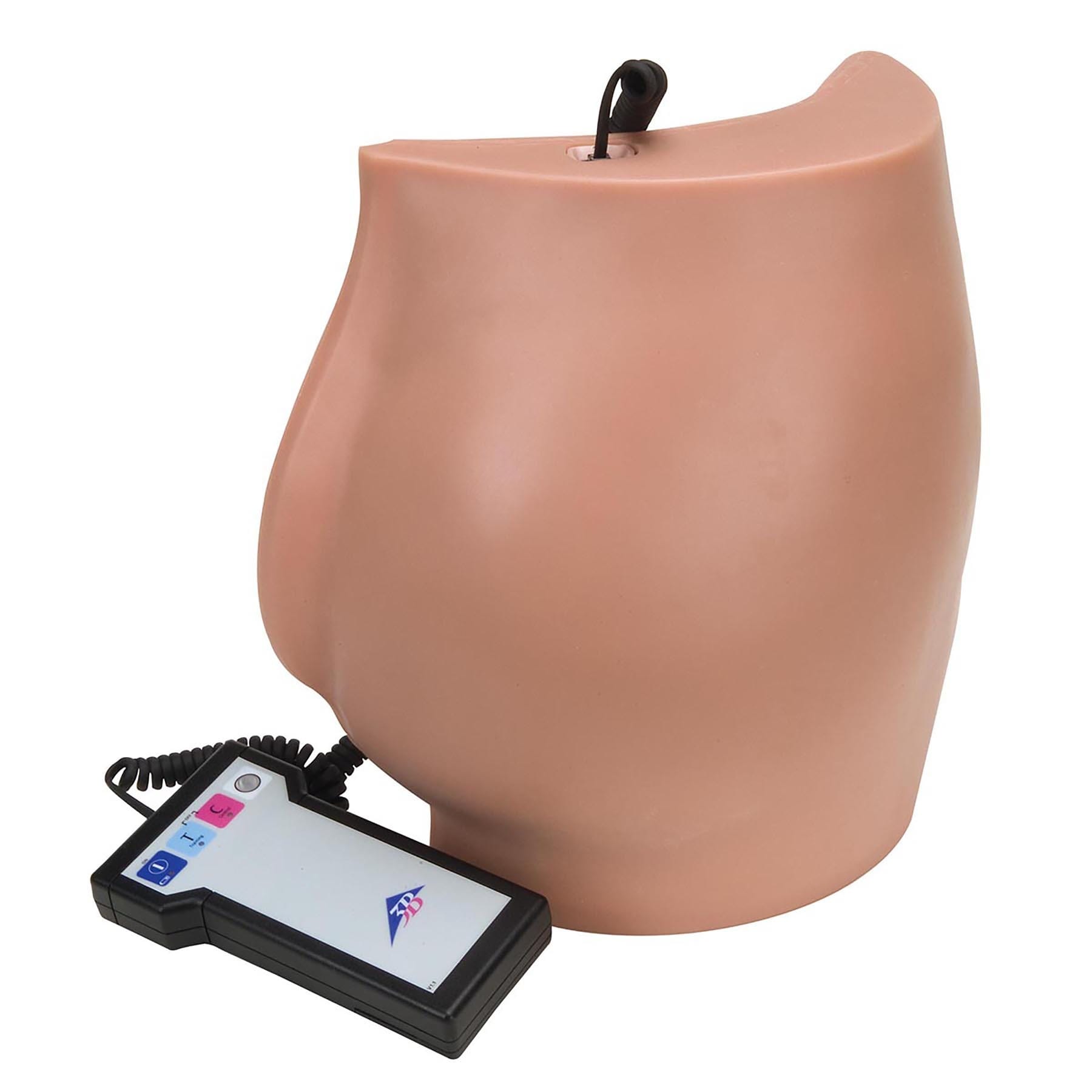 3B Scientific® Intramuscular Injection Simulators