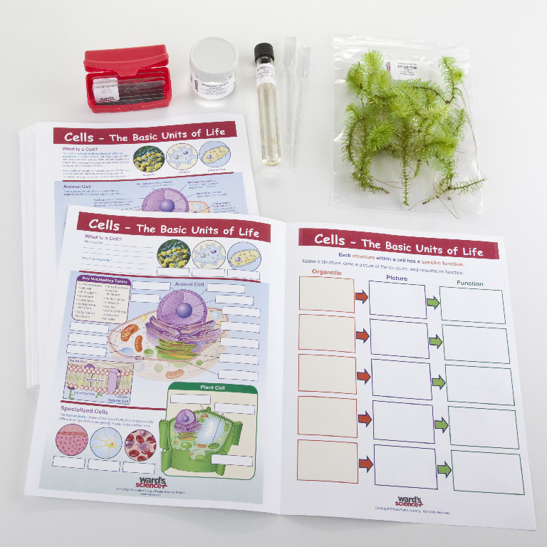 Ward's® Biology Collaborative Learning Bundles
