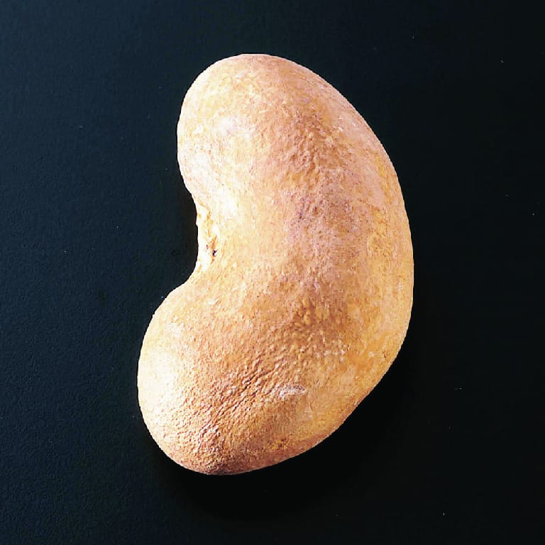 Freeze-Dried Sheep Kidney