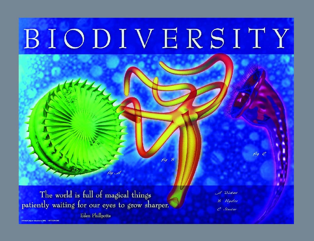 Biology Images and Ideas Posters