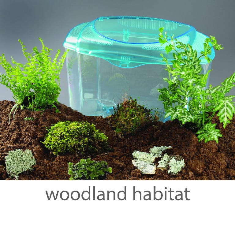 Wards® Mini-Habitat Terrarium Sets
