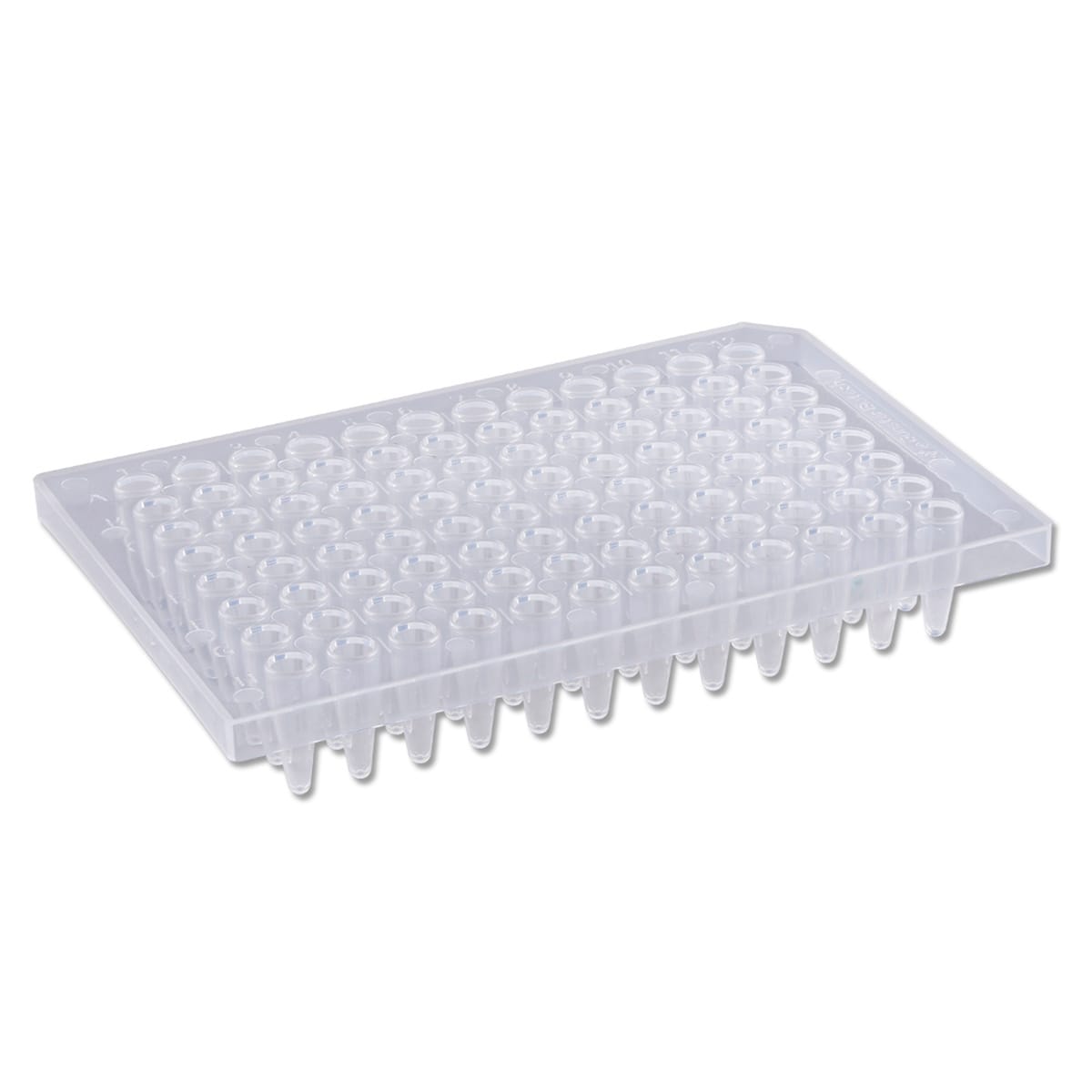 Ward's® PCR Plates