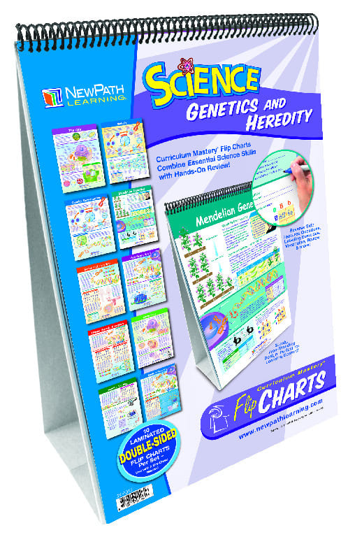 Curriculum Mastery® Science Flip Charts