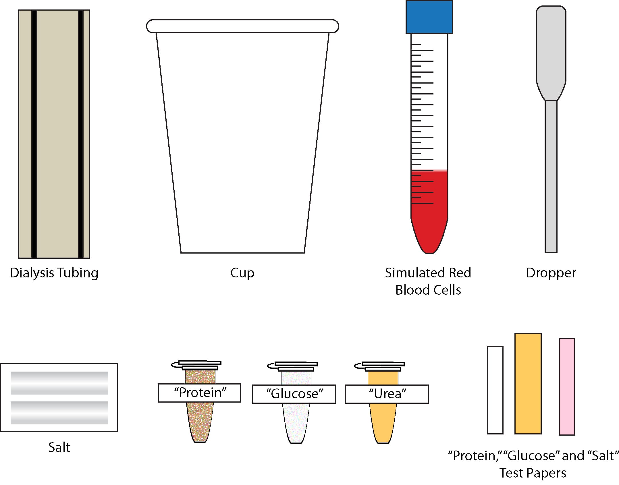 Science Take-Out® Kidney Dialysis