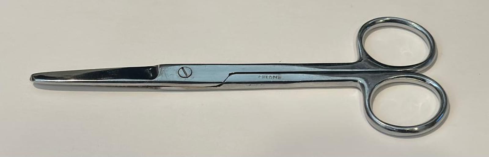 Surgical Style Scissors