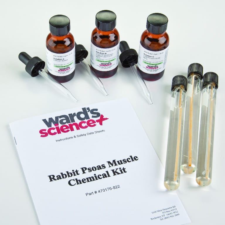 Ward's® ATP Muscle Kit