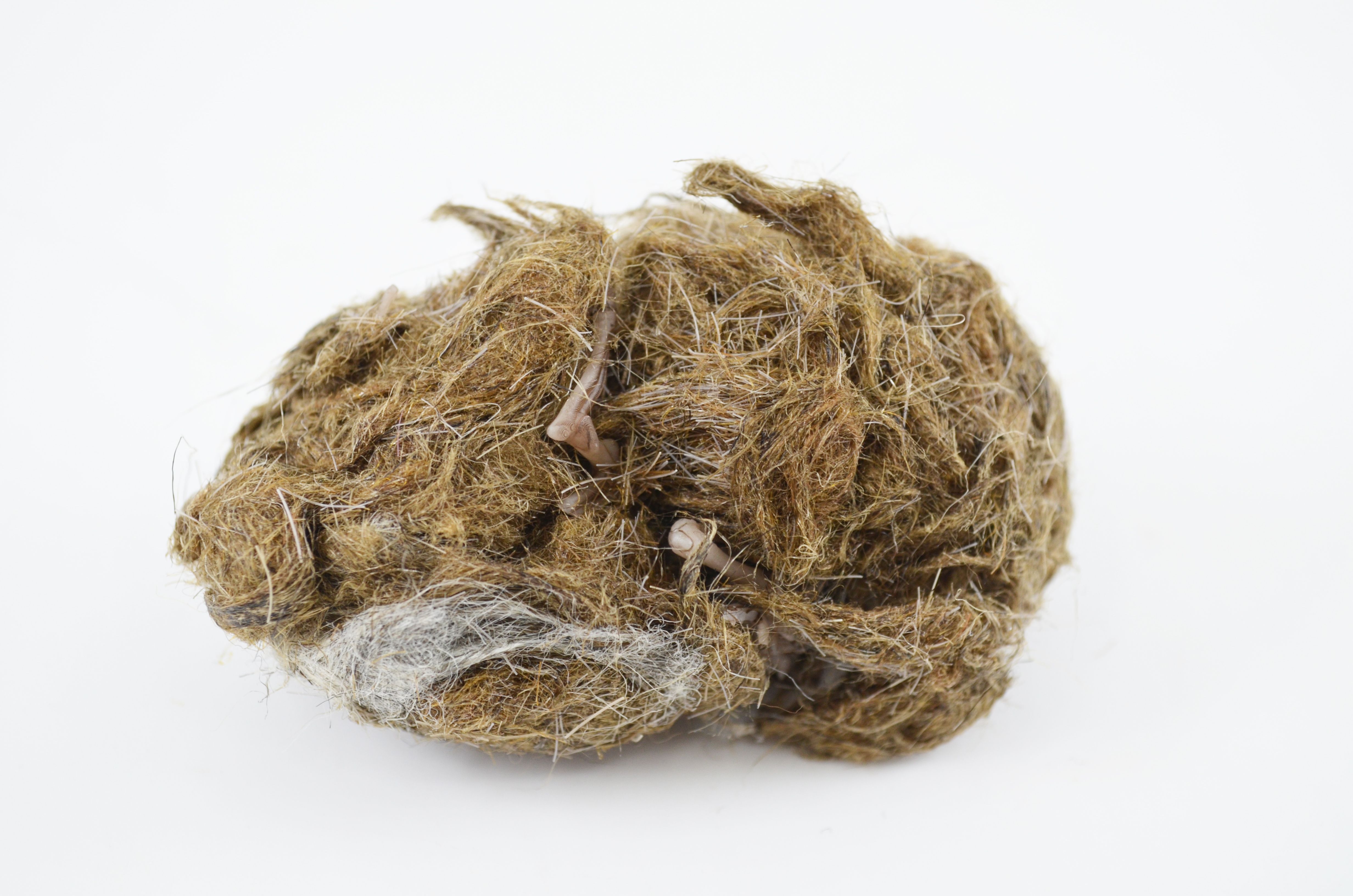 Synthetic Owl Pellets