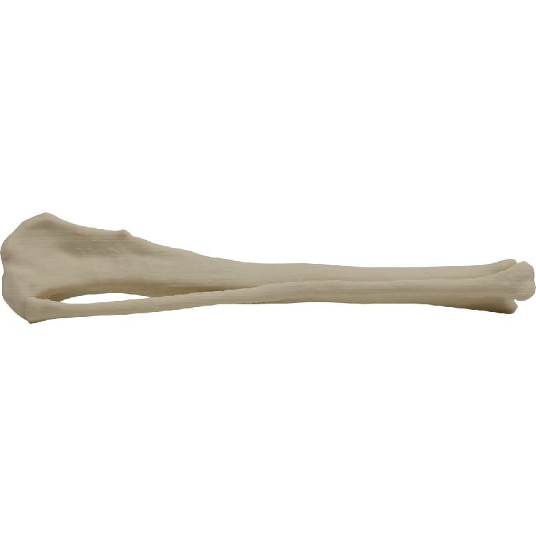 Med Dimensions® Vet Bones, Canine