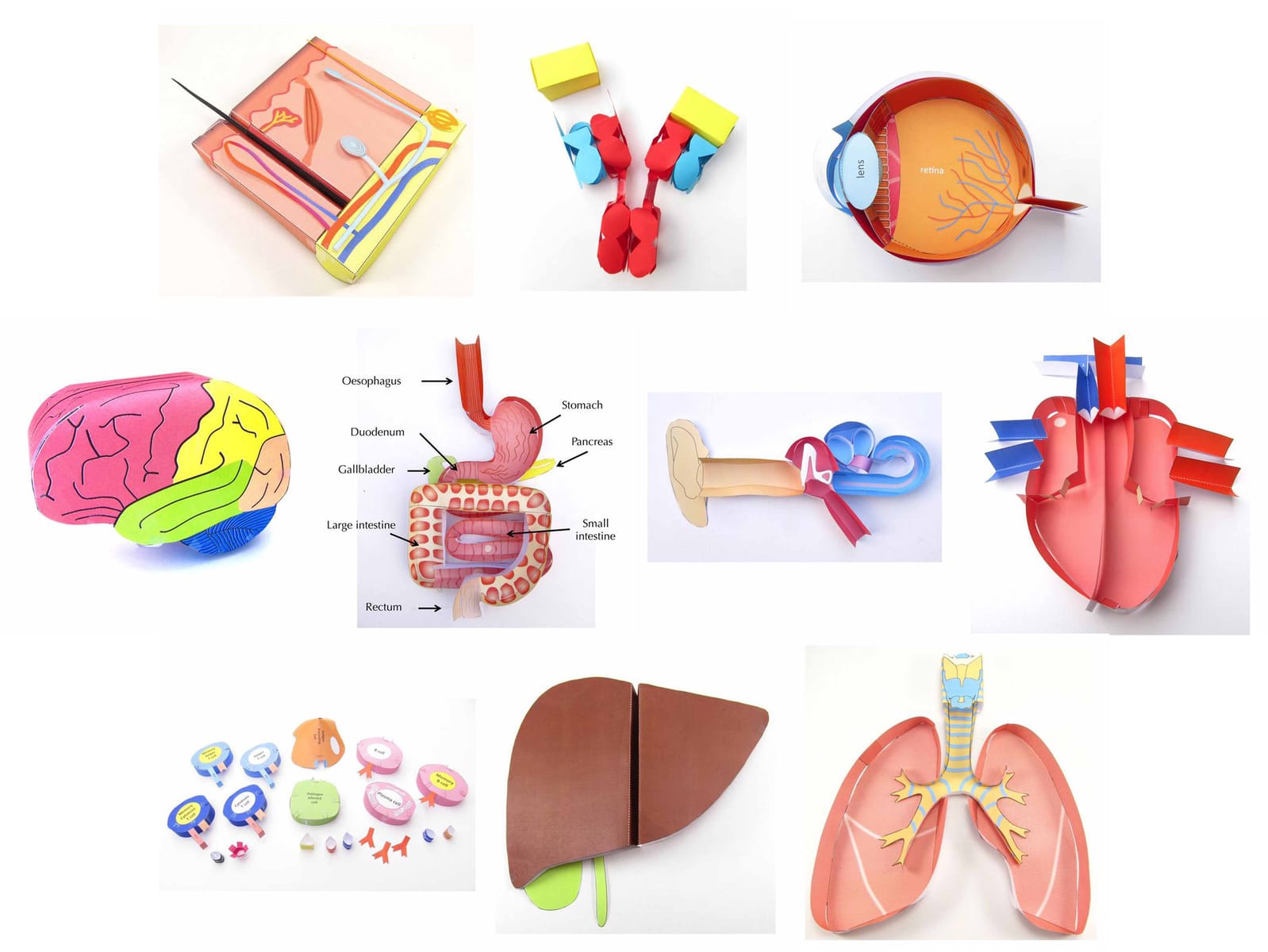 3D Modeling Sets