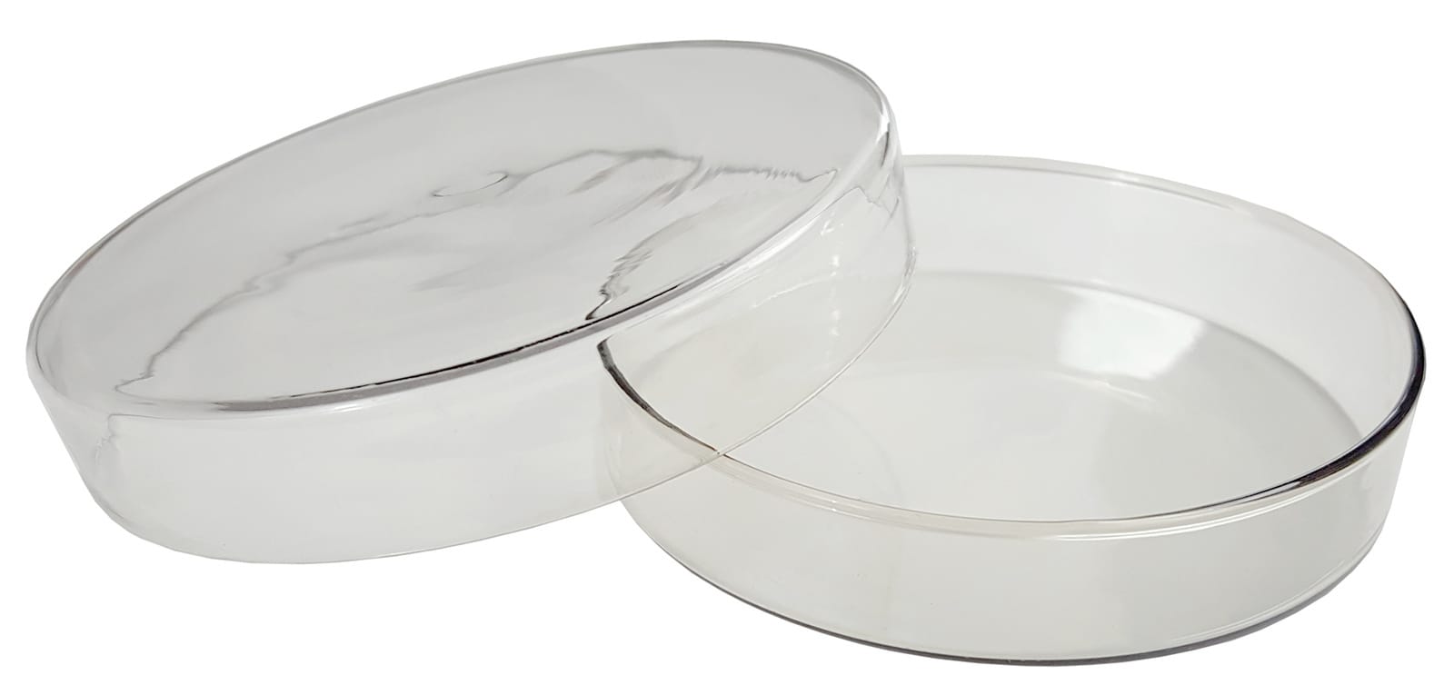 Glass Petri Dishes
