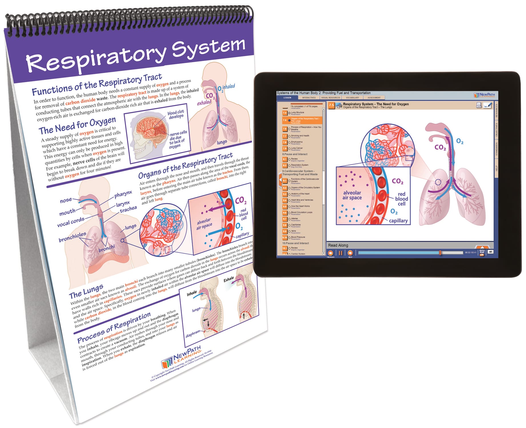 NewPath® Life Science Skill Builder Flip Charts with Multimedia Lessons