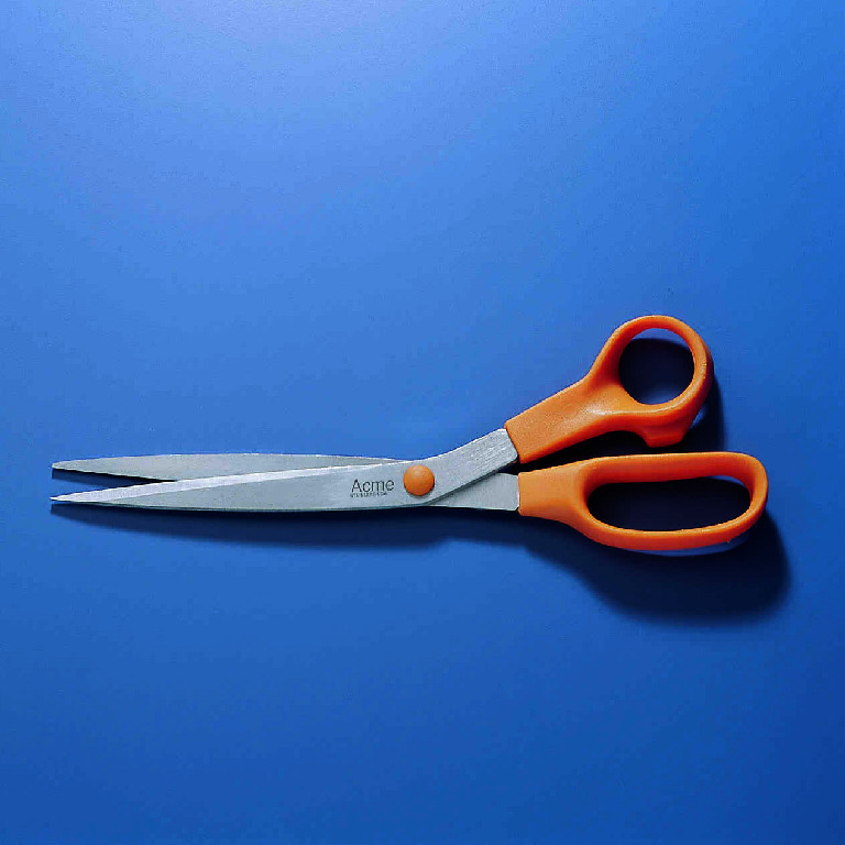 All-Purpose Scissors