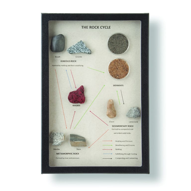 Rock Cycle Riker Mount