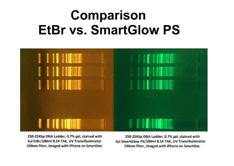 Accuris SmartGlow™ DNA Stains