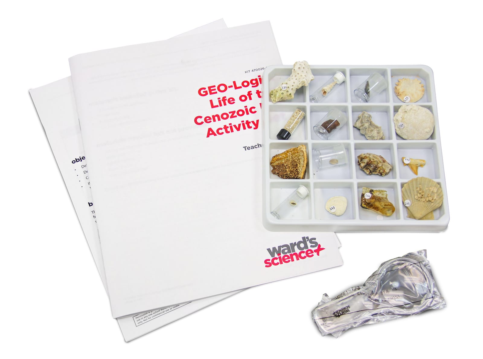 Ward's® GEO-Logic Life of the Cenozoic Era Topic Set