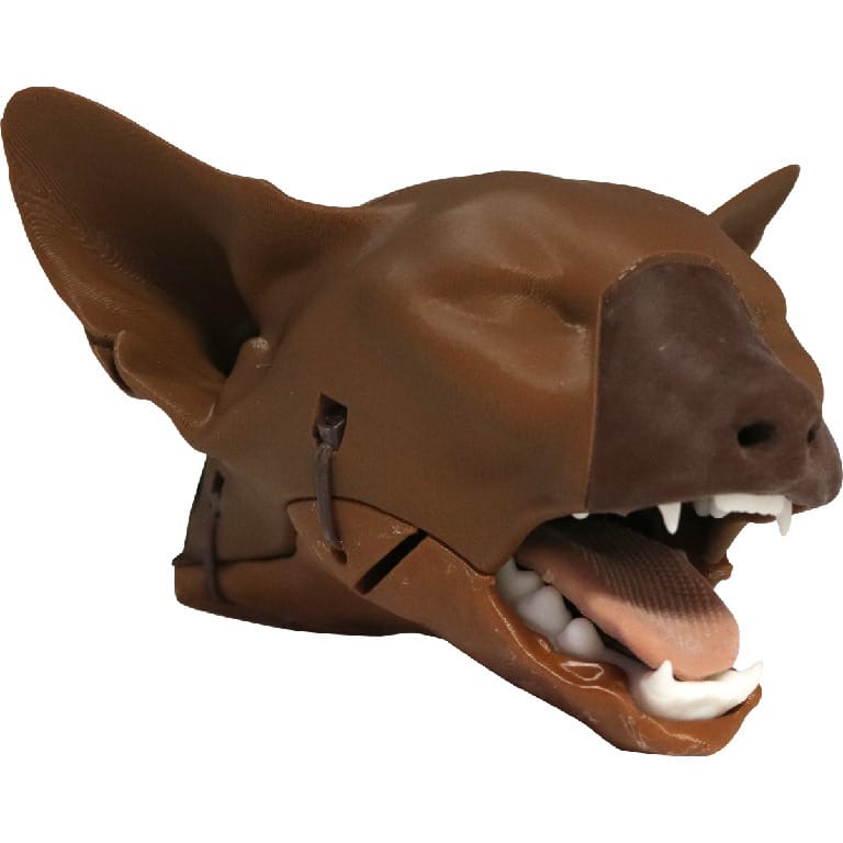 Med Dimensions® Feline Intubation Trainer