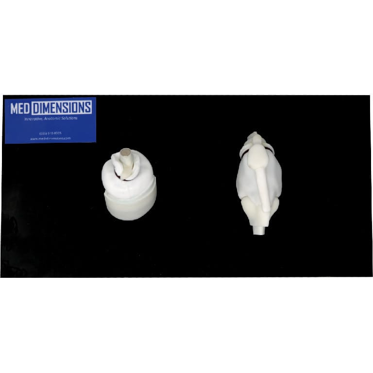 Med Dimensions® Canine Joint Injection Trainer