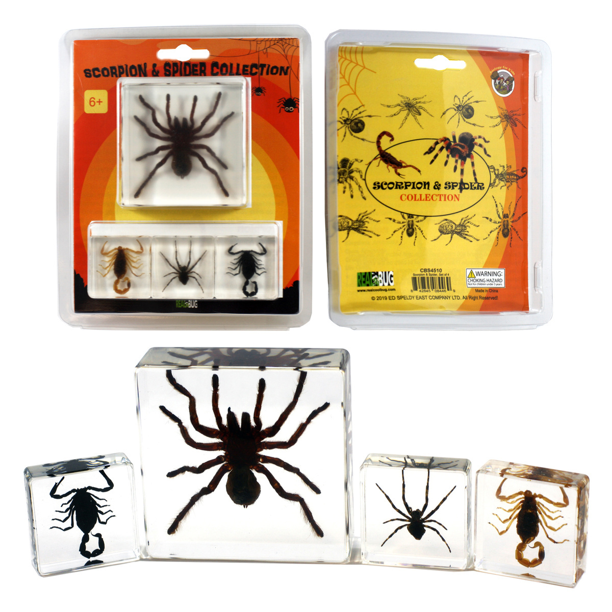 Scorpion and Spider Plastomount Set of 4