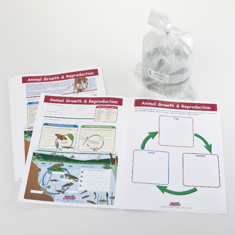 Ward's® Biology Collaborative Learning Bundles