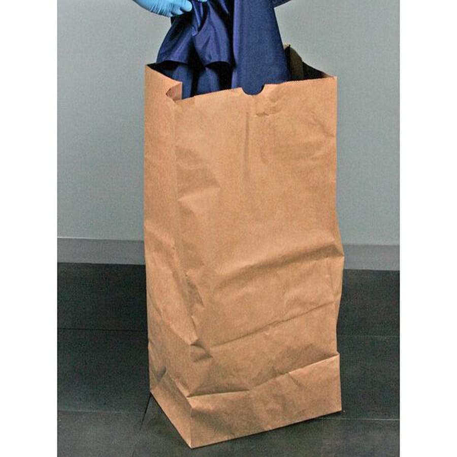 Large Kraft Bag