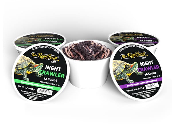 Ward's® Live Earthworms (Lumbriculus terrestris)