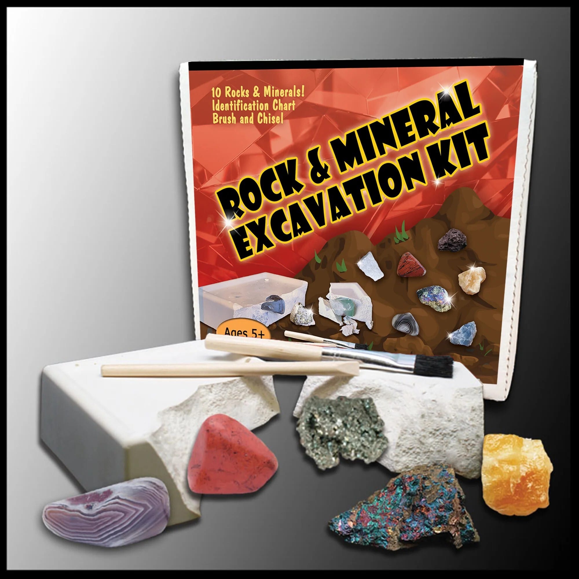 Rock and Mineral Excavation Kit