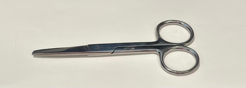Surgical Style Scissors