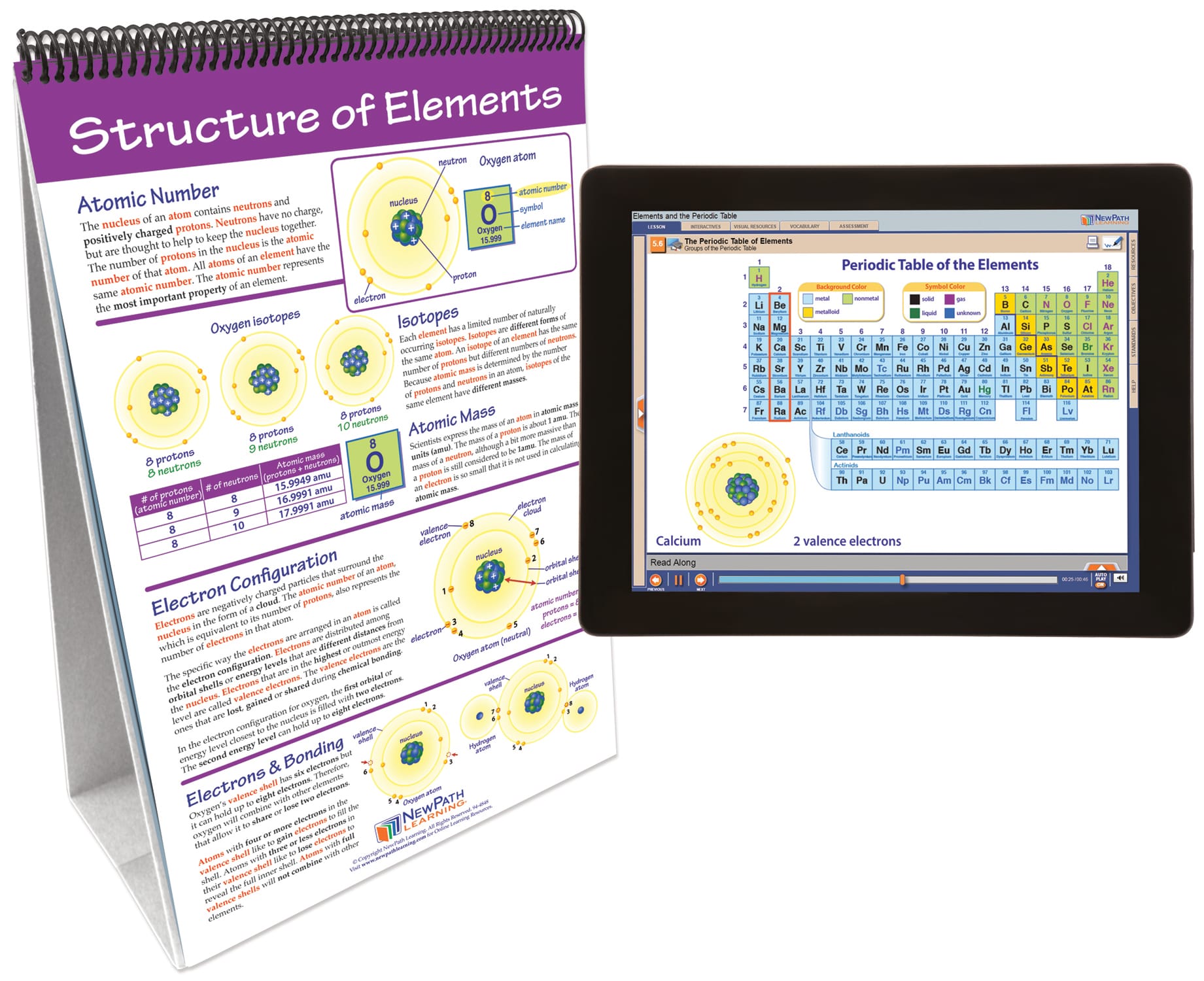 NewPath® Physical Science Skill Builder Flip Charts with Multimedia Lessons