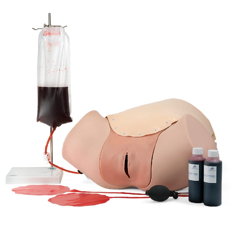 3B Scientific® Post Partum Hemorrhage Trainer