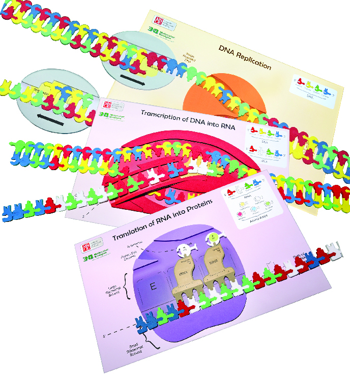 Flow of Genetic Information