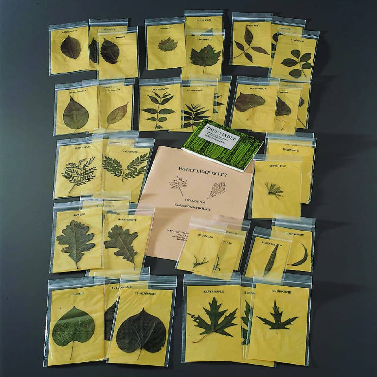 Leaf Identification Kit