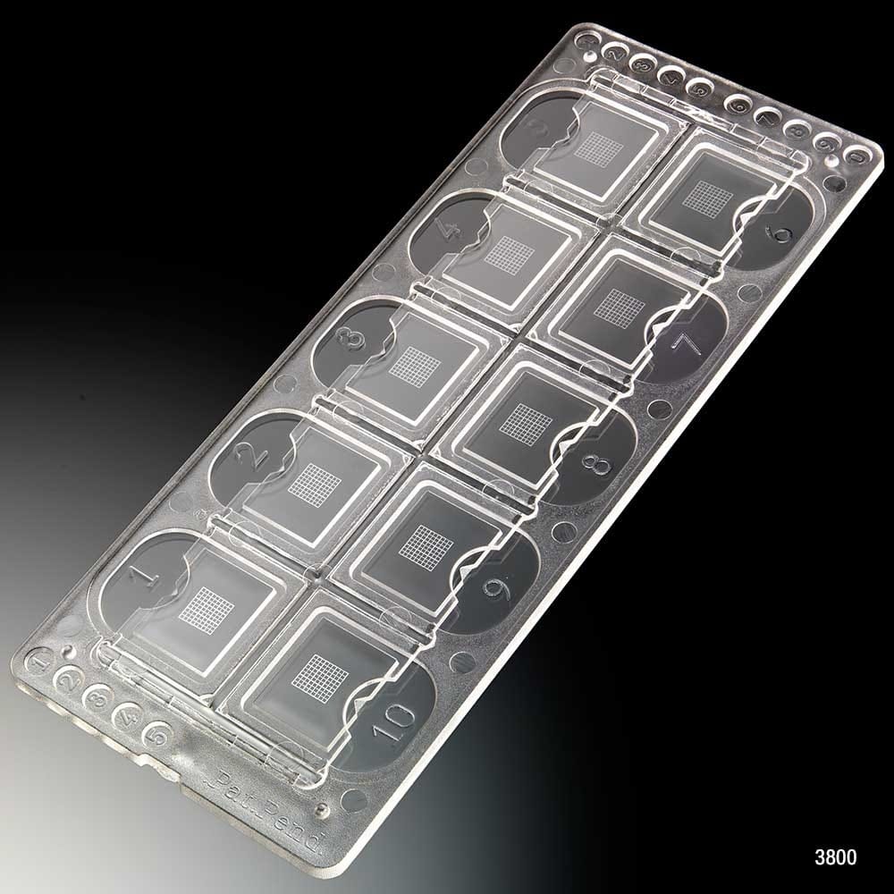 Quick-Read™ 10 Chamber Urinalysis Slides, Globe Scientific