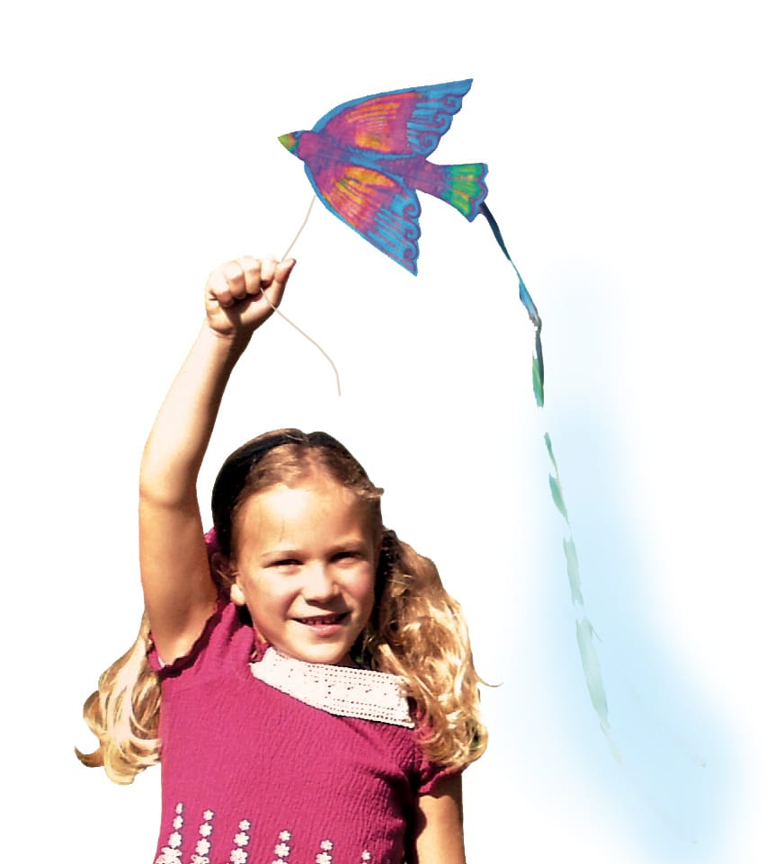 Bird Kites