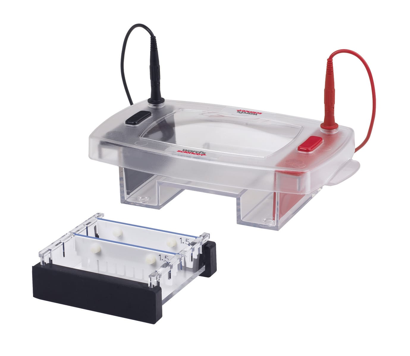 Ward's® Horizontal Gel Box System