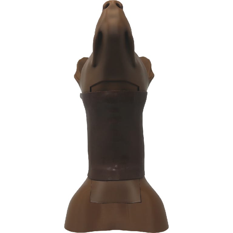 Med Dimensions® Canine Cricothyrotomy and Tracheostomy Trainer