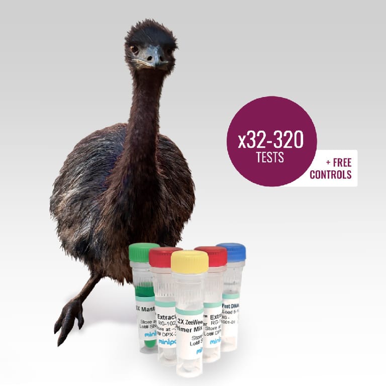 miniPCR® ZeeWee™ IV Bird DNA Sex Test