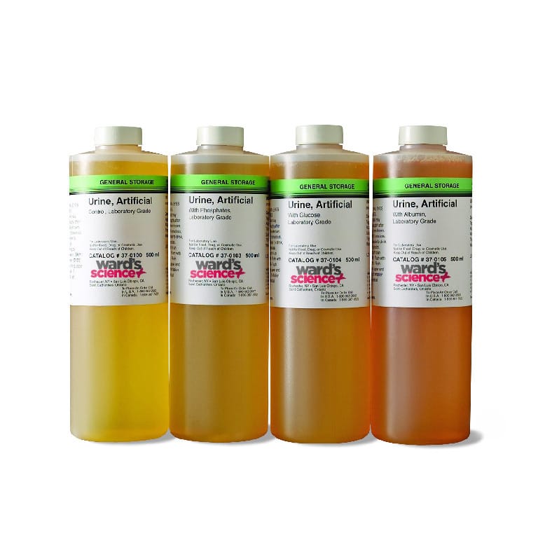 Ward's® Analyzing Samples Of Artificial Urine Kit