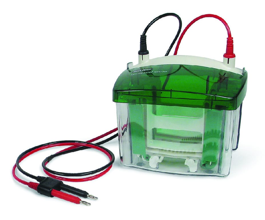 Mini-PROTEAN® Vertical Electrophoresis System