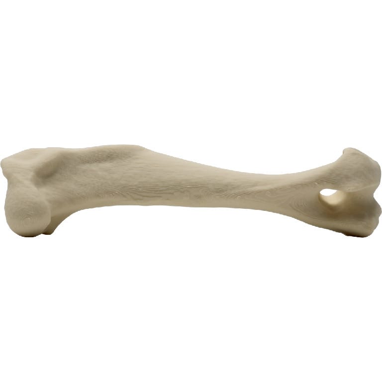 Med Dimensions® Vet Bones, Canine