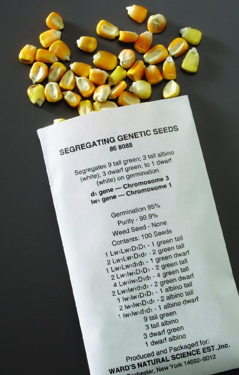 Genetic Ratio Seeds