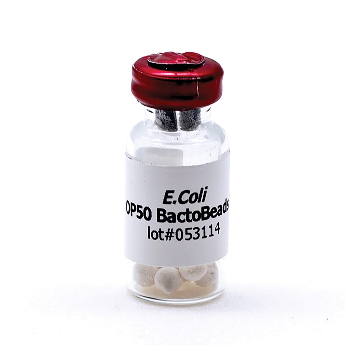 Edvotek BactoBeads™ Lyophilized Bacteria