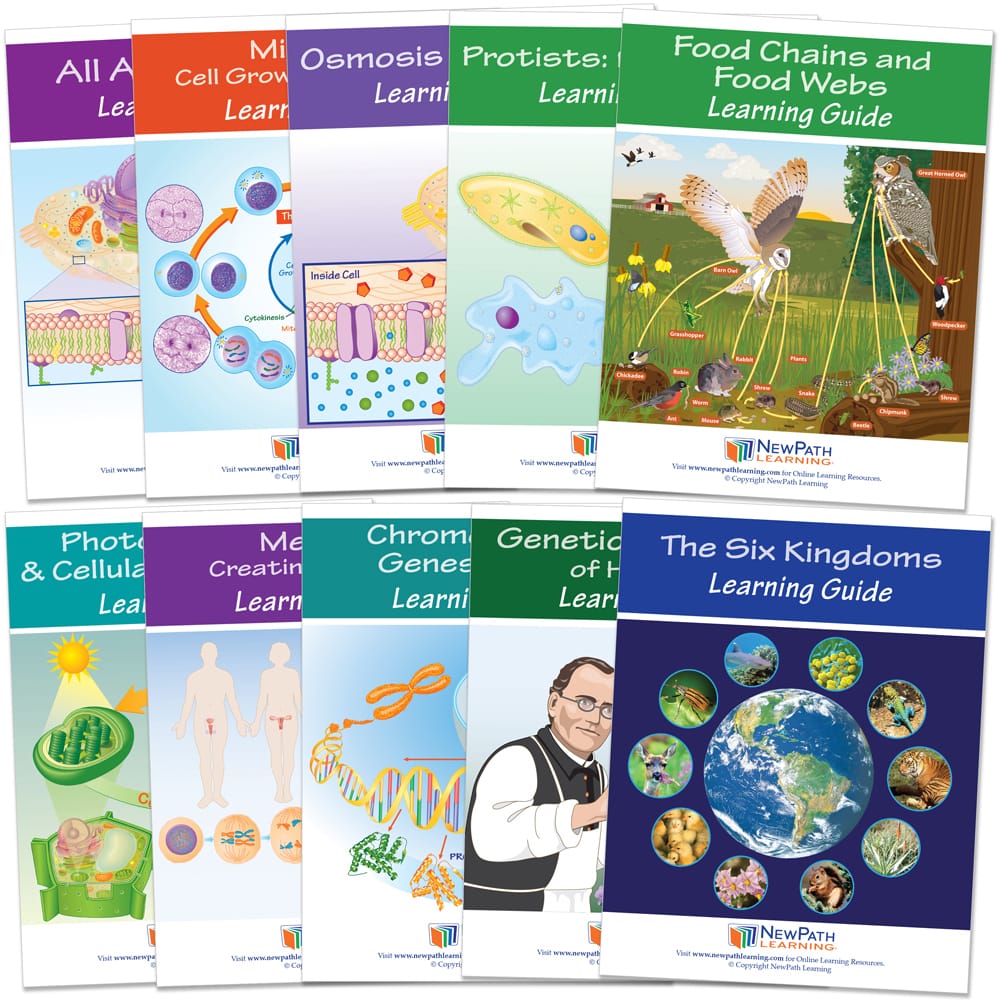 NewPath® Study Guides with Online Lesson