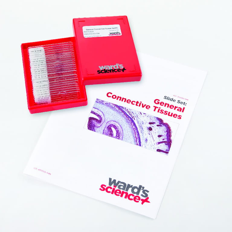 General Connective Tissues Slide Set