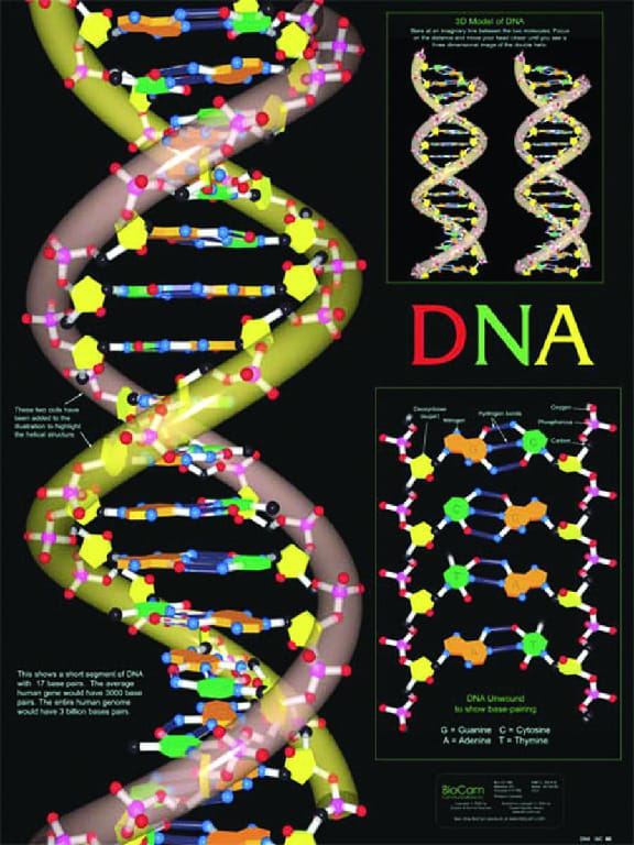 BioCam Cell Structure And Function Charts