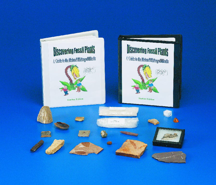 Discovering Fossils and Extinction Kits