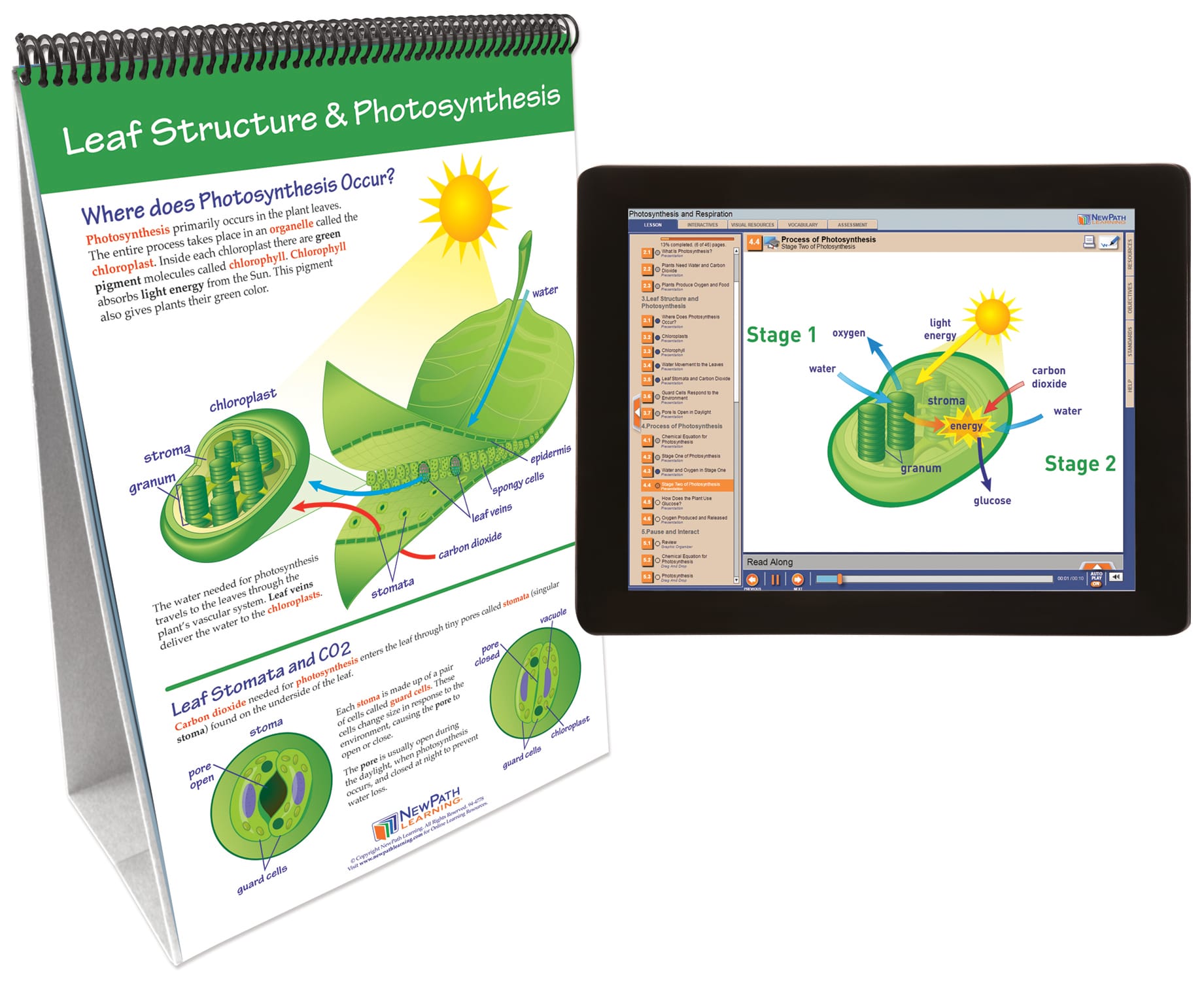 NewPath® Life Science Skill Builder Flip Charts with Multimedia Lessons