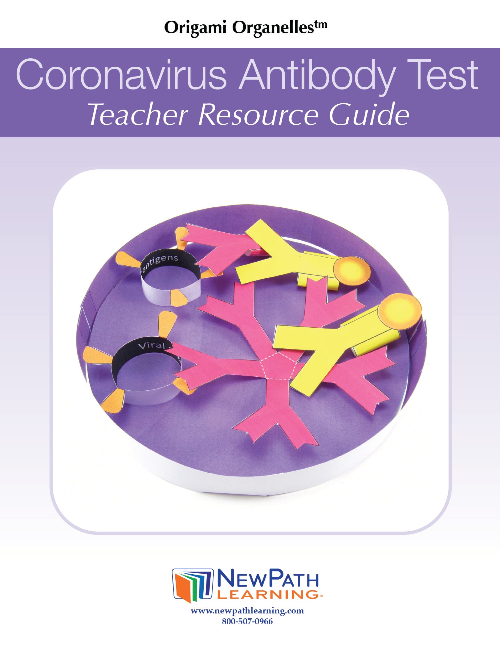 COVID-19 3D Models