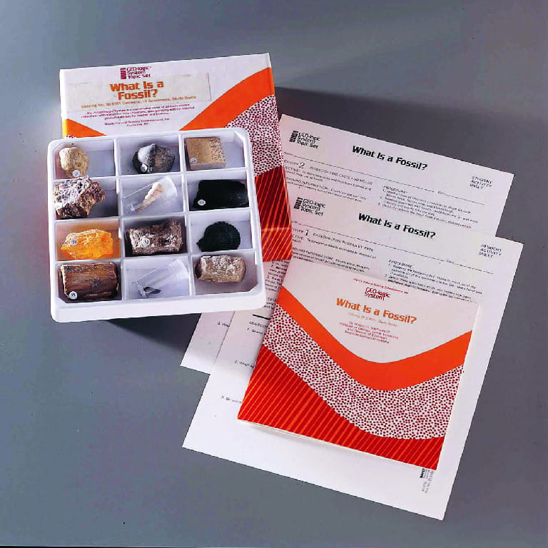 What is a Fossil? Activity Set