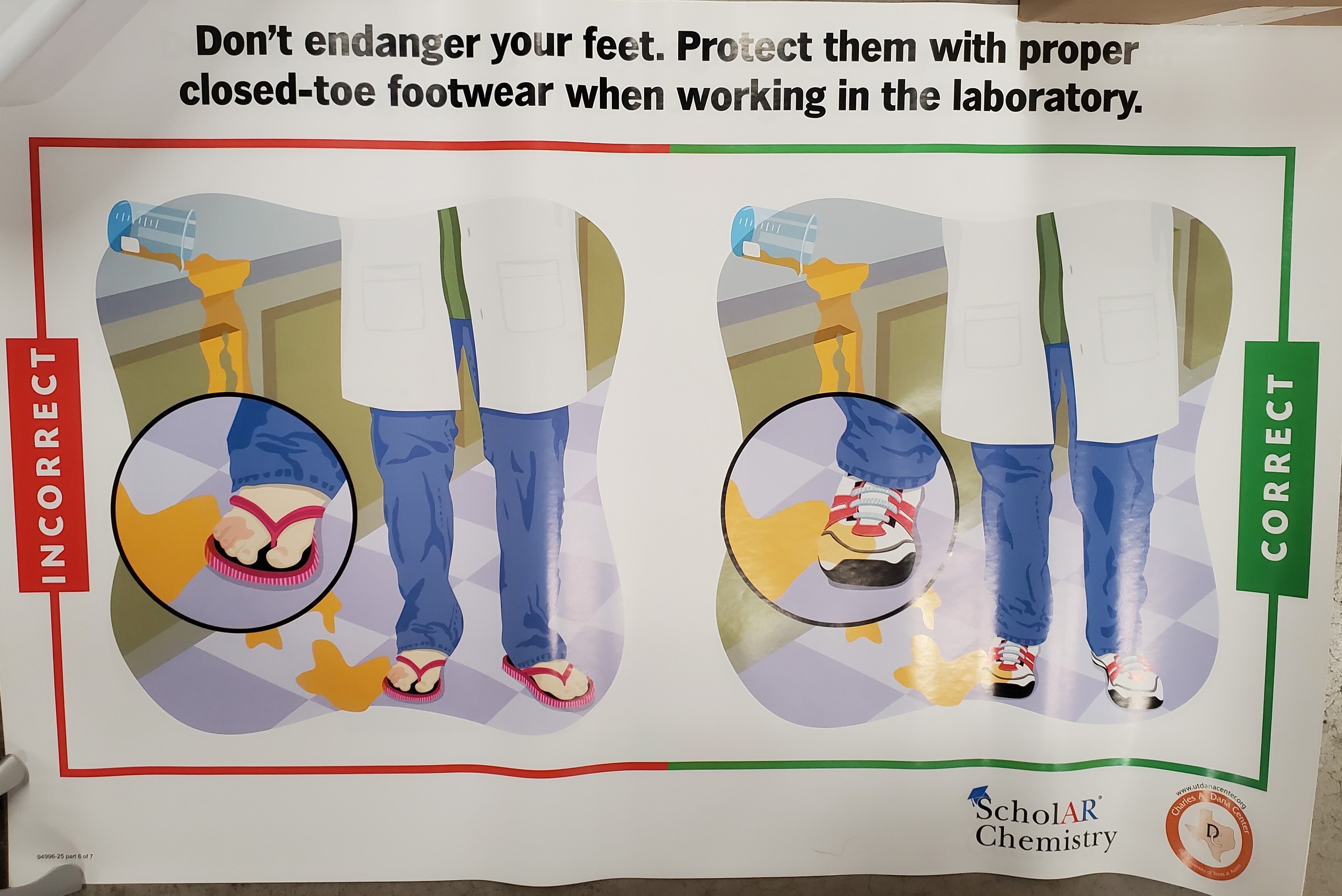 Ward's® Laboratory Safety Poster Set
