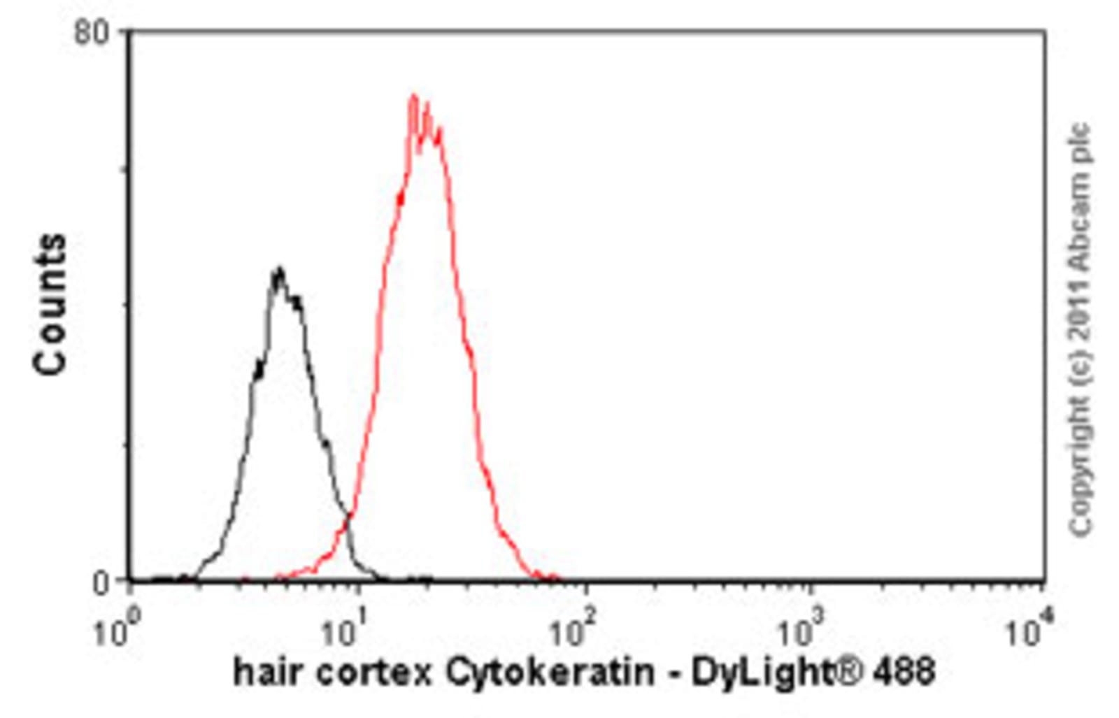 Anti-hair cortex Cytokeratin/K40 Mouse Monoclonal Antibody [clone: AE13 ...